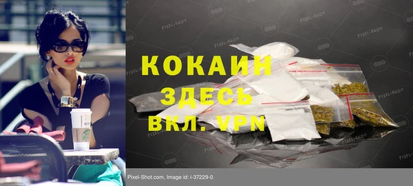 гашик Аркадак