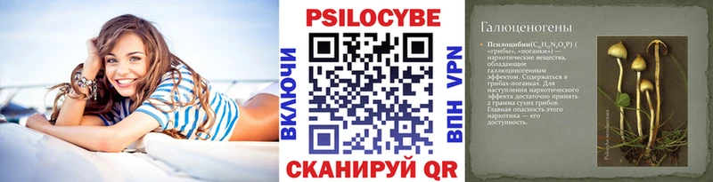 Псилоцибиновые грибы Psilocybe  Палласовка 